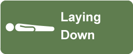 Click for patient to lay down